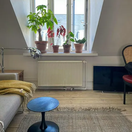 Penthouse With Balcony Near Botanical Garden Apartment *