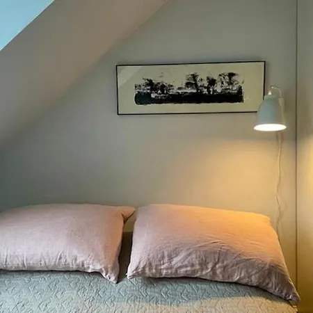 Penthouse With Balcony Near Botanical Garden